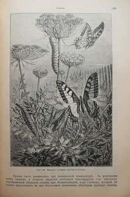 Штандфусс М.Р. Жизнь бабочек, их ловля, воспитание и сохранение. Руководство для собирателей. СПб., [1901].